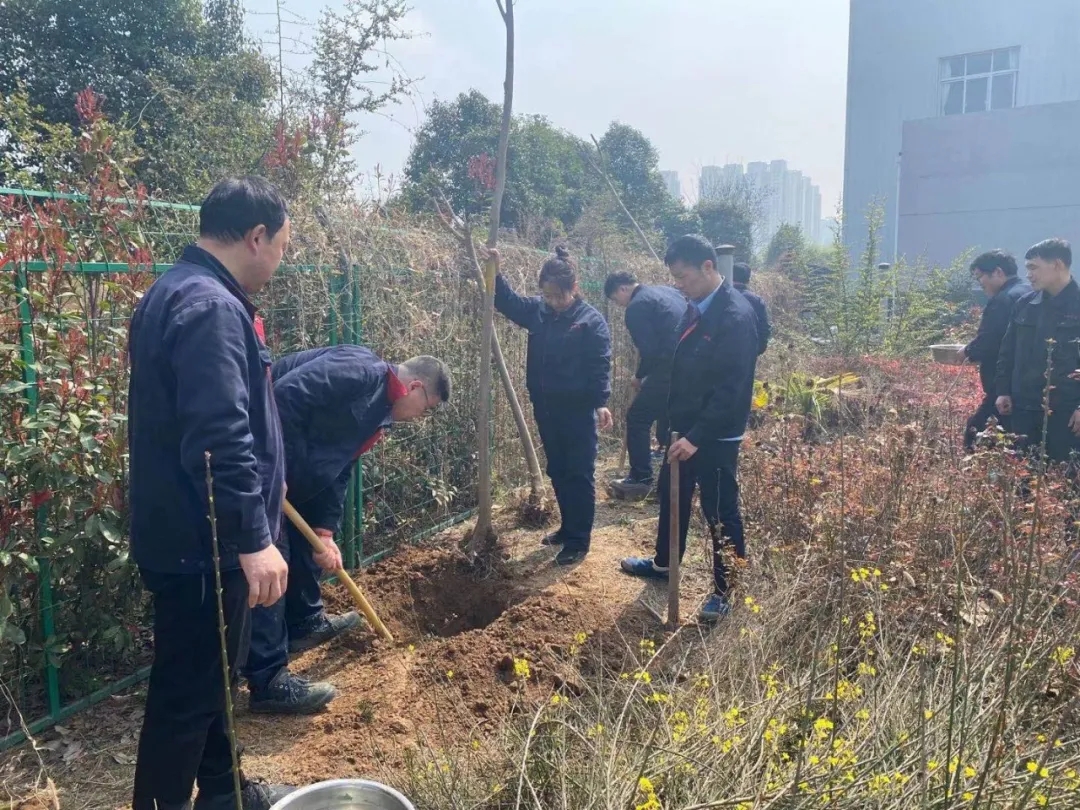 多一片绿叶，多一份温馨(图3)