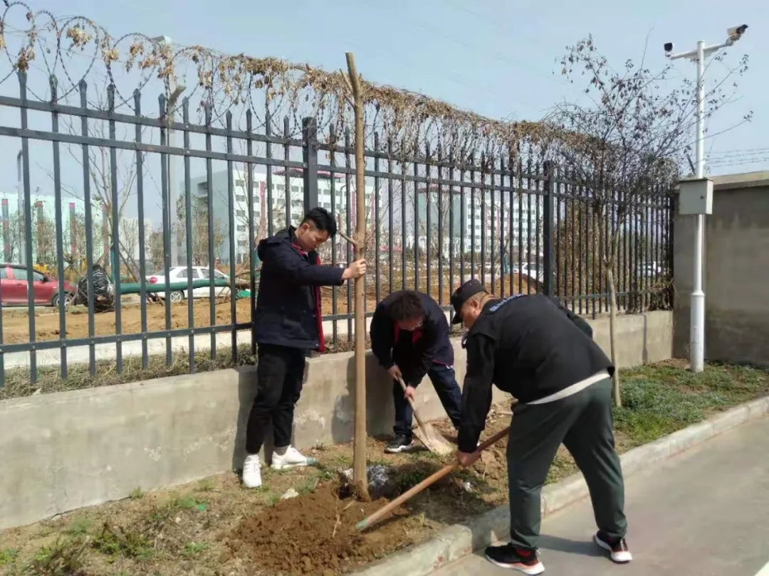 多一片绿叶，多一份温馨(图4)